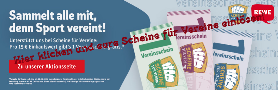 Scheinefuervereine 2025
